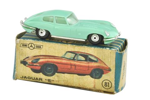 Anguplas - (81) Jaguar E (im Ork)